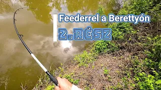 Meglepetés hosszúelőkére! - Feederrel a berettyón 2. rész