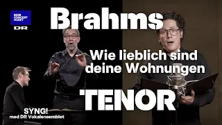 Brahms, Wie lieblich sind deine Wohnungen - tenorstemme // SYNG! med DR Vokalensemblet