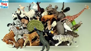 Huge Toy Zoo Wild Animals Collection - Learn Animal Names For Kids