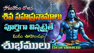 Chant Shiva Sahasranama 1000 Names of Lord Shiva bhakti song