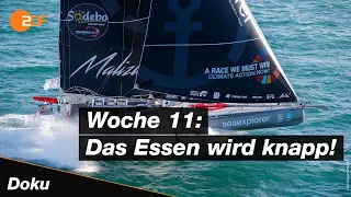 Vendée Globe: Spannend wie nie kurz vor dem Ziel | Boris Herrmann | SPORTreportage - ZDF