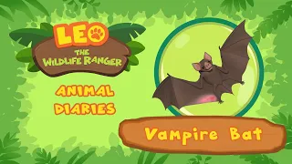 Vampire Bat | Are They Really Blood Suckers?? | Leo the Wildlife Ranger | Fun Animal Facts