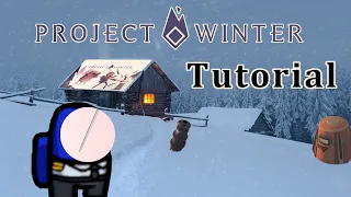 To The Point: How to play 'Project Winter'