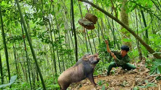 Detecting wild boars foraging, Making rudimentary traps to trap wild boars, survival instinct