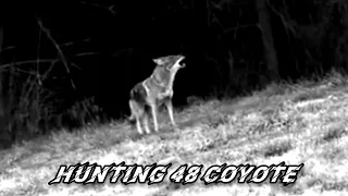 hunting | coyotes, Bobcat,Wolves, fox | #014