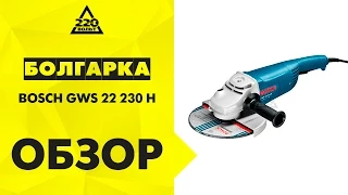 Обзор Машина углошлифовальная (болгарка) BOSCH GWS 22-230 H