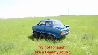 ЛУЧШИЕ ПРИКОЛЫ & COUB #462 ноябрь 2018 GammyCoub