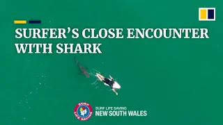 Australian surfer’s close encounter with a great shark caught on camera