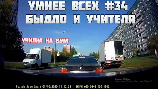 УМНЕЕ ВСЕХ #34. БЫДЛО И УЧИТЕЛЯ НА ДОРОГЕ