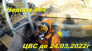 Неделя #84  ЦВС до 24 02 2022г