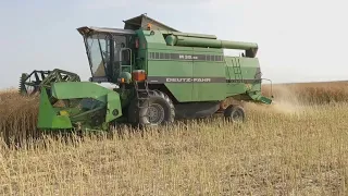 Žetva uljane repice 2022 / Deutz Fahr m 3580 /