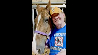 "IT'S BOYCOTT TIME IN TENNESSEE" At 2021 Tennessee Walking Horse Celebration At Shelbyville, TN