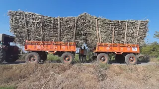 Arjun Mahindra 605 sugar cane lod