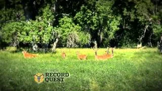 Record Quest: Field Judge a Buck