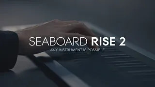 Seaboard RISE 2: Any instrument is possible