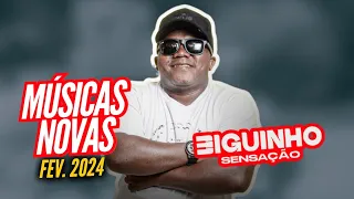 BIGUINHO SENSAÇÃO - REPERTÓRIO NOVO | MÚSICAS NOVAS (FEV. 2024)