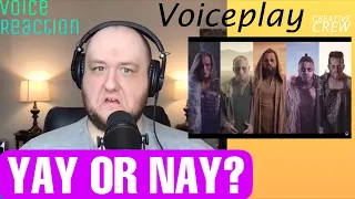 Voiceplay "My Mother Told Me" | Voice Teacher Reaction