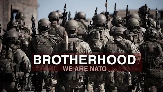 NATO | Elite Brotherhood