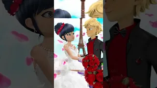 Miraculous ladybug : Adrien x Marinette in different styles