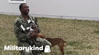 7 times military members surprised their dogs | Militayrkind
