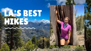 Hiking Crystal Lake- Best Hiking in the Angeles National Forest: Los Angeles California