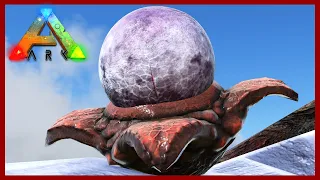 Onyc Breeding & Army - Insect Eggs - TLC 3! - The Island Map - Ark Survival Evolved Ep 61!