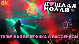 ПОШЛАЯ МОЛЛИ — Типичная вечеринка с бассейном | 21.02.2020 НИЖНИЙ НОВГОРОД