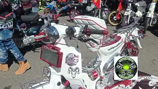 cuál es tu favorito  de todos esto proyectos súper cub con máquina 190cc