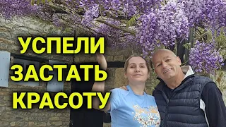 моя суббота | мотивация к действиям| свернуть горы