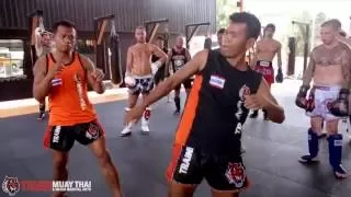 10 Muay Thai Techniques