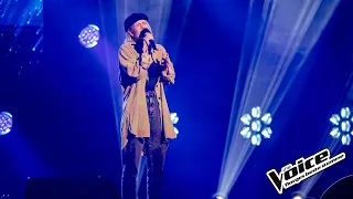 Sofie Almåsvold | Bird Set Free (Sia) | Blind auditions | The Voice Norway 2023