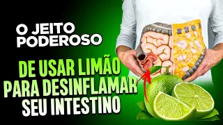 O Jeito PODEROSO de Usar Limão Para Desinflamar seu Intestino -  DR RENATO SILVEIRA