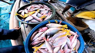 subrang saya nito sunodsunod yong kain  HANDLINE FISHING