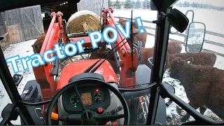 Feeding The Cows - Tractor POV