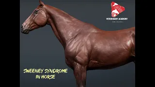 Sweeney Syndrome in Horse