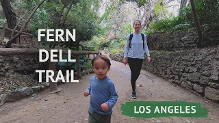 Walking Fern Dell Trail in Griffith Park | Los Angeles, CA.