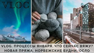 VLOG 3/2020 | ПРОЦЕССЫ ЯНВАРЯ | ЧТО ВЯЖУ | НОВАЯ ПРЯЖА | НОРВЕЖСКИЕ БУДНИ | ОСЛО | ЗИМА В ГОРОДЕ