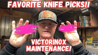 Unveiling My Top Knife Picks and Victorinox SD Classic Maintenace!