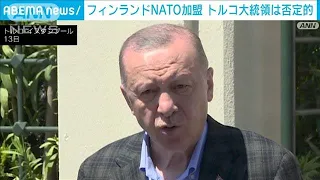 フィンランドNATO加盟　トルコ大統領は否定的(2022年5月14日)