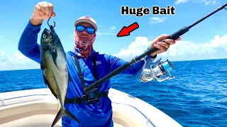 I Dropped a 4lb Bait Over a Reef and Caught This! **Catch, Clean, & Cook**