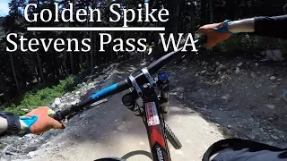 Golden Spike - Stevens Pass Bike Park MTB