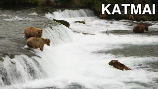 Katmai National Park: Where the Bears Are