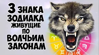 3 ЗНАКА ЗОДИАКА ЖИВУЩИЕ ПО ВОЛЧЬИМ ЗАКОНАМ 🐺