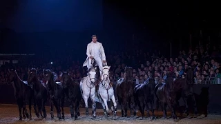 LORENZO INTERNATIONAL HORSE SHOW HD