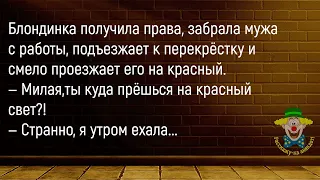 🤡В Газете Читаю Рубрику...Большой Сборник Смешных Анекдотов,Для Супер Настроения!