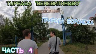 Турбаза Веневитиново/Воронежский лес/Аэросъёмка #Веневитиново