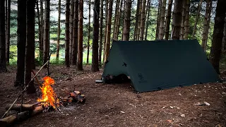 2 DAYS Solo Overnight | Spring Camping under a Tarp A-Frame Survival Shelter-Bushcraft  Skils - ASMR