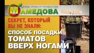 🍅 СЕКРЕТ, КОТОРЫЙ ВЫ НЕ ЗНАЛИ: Способ Посадки Томатов ВВЕРХ НОГАМИ