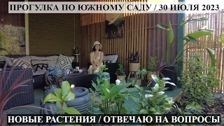 НОВЫЕ РАСТЕНИЯ В САДУ / Прогулка по южному экзотическому саду в конце июля 2023 / отвечаю на вопросы