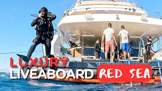 RED SEA LUXURY DIVE LIVEABOARD || Arriving in Egypt + first night on board